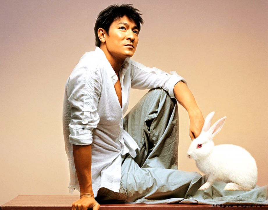 Andy Lau Wallpaper | Image Wallpapers