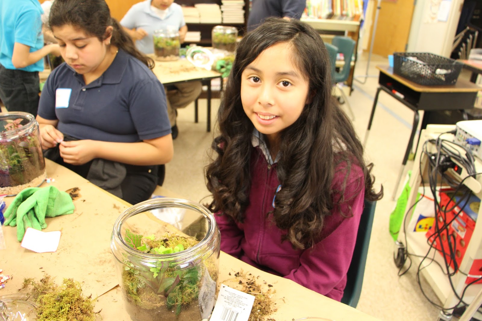 Your Permanent Record Terrariums at Mineral Springs Elementary