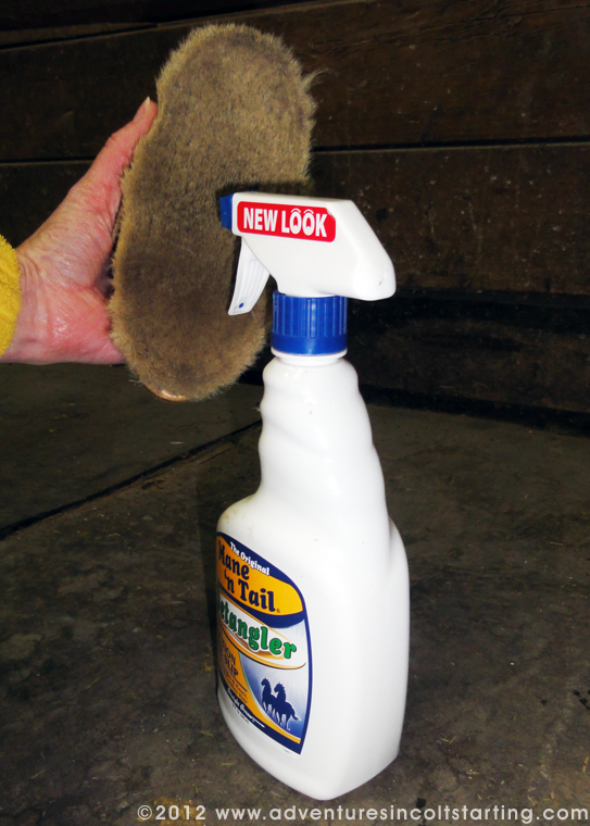 Adventures in Colt Starting Prevent Static Shock During Grooming