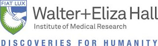 International PhD Scholar Initiative
