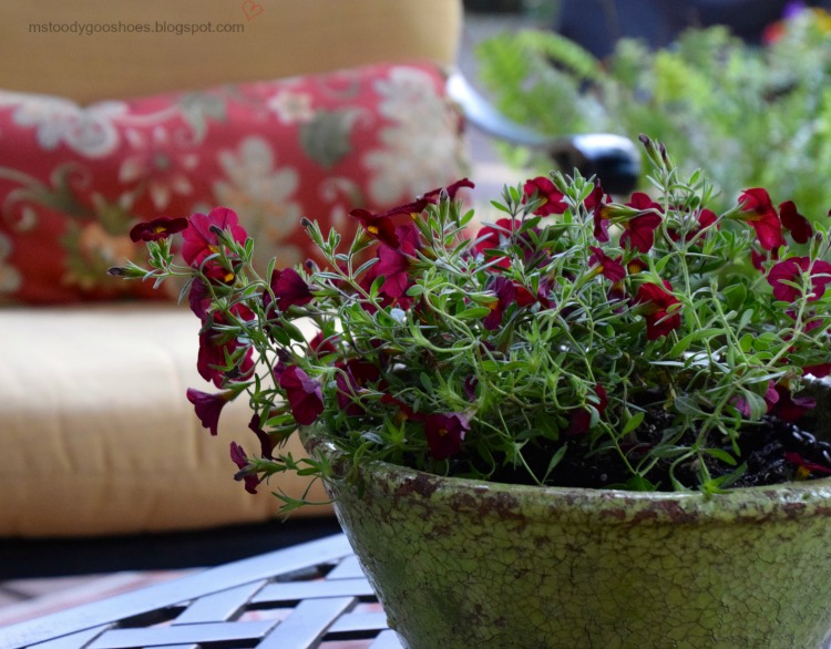 Create an attractive outdoor living space | Ms. Toody Goo Shoes