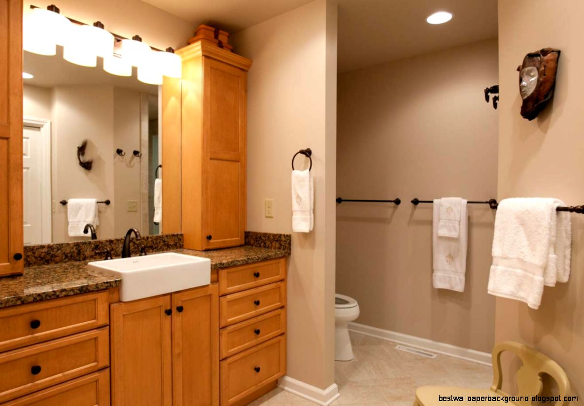 Bathroom Remodeling Ideas