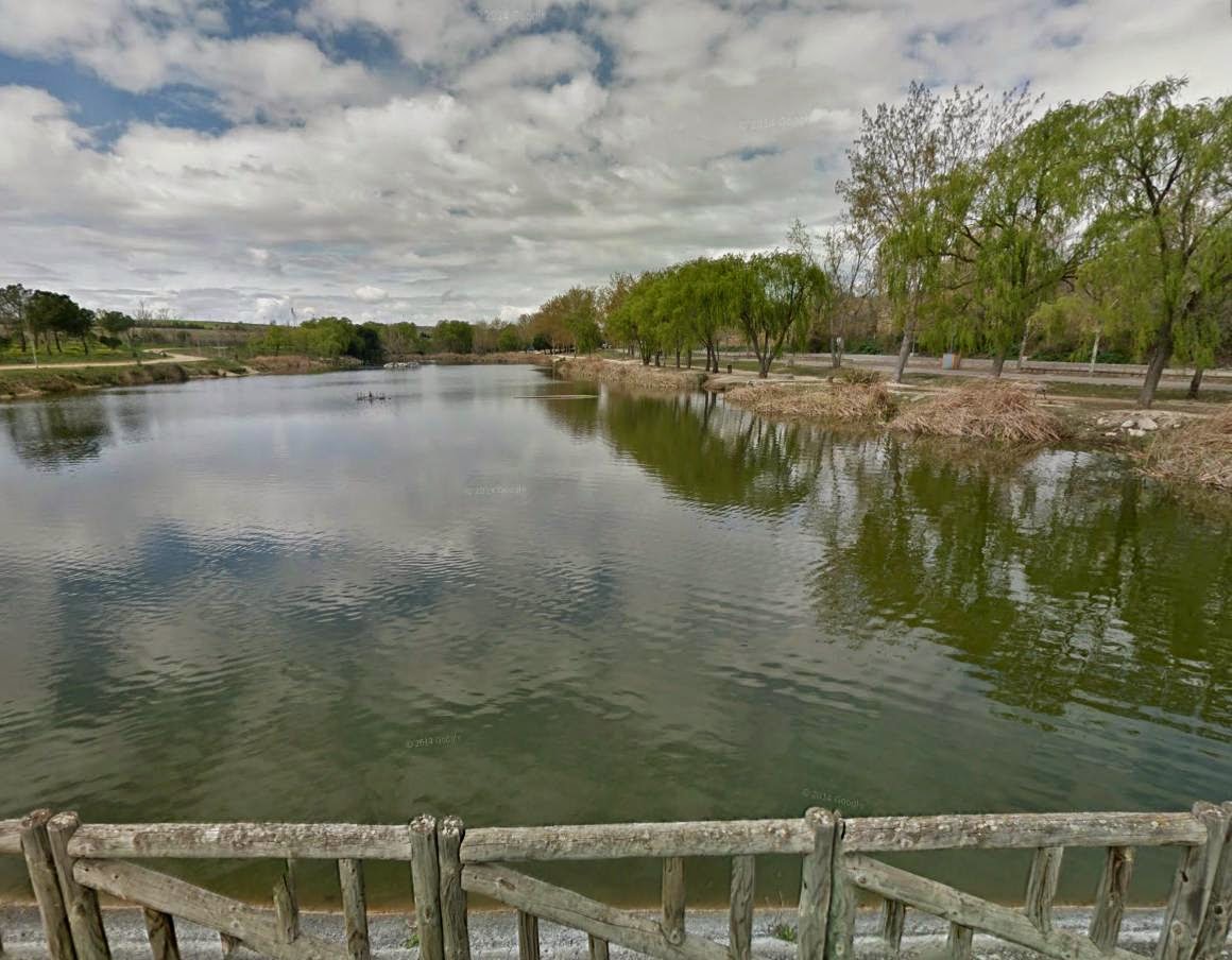 Lago Butarque de Leganés (Comunidad de Madrid) - Hay Pesca!