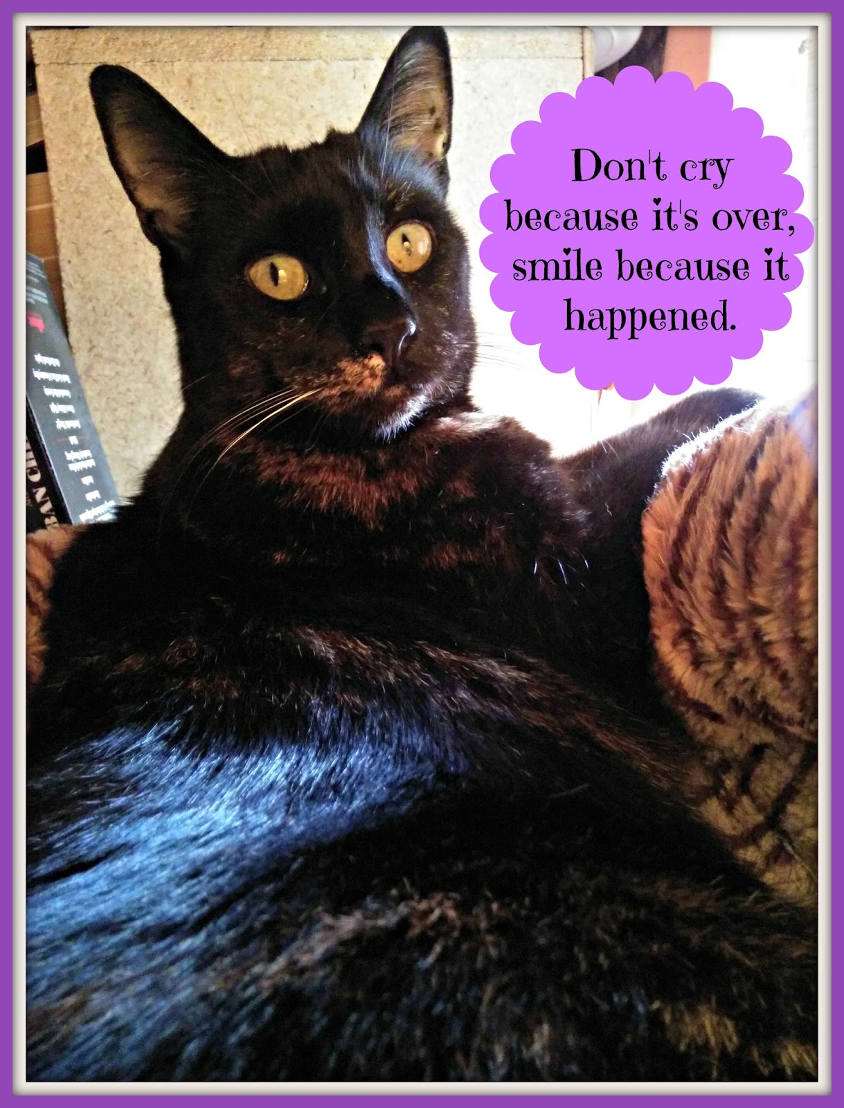 Melissa's Mochas, Mysteries and Meows National Pet Memorial Day 