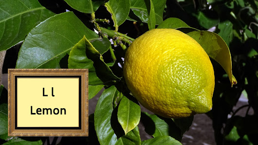 'L' IS FOR LEMON
