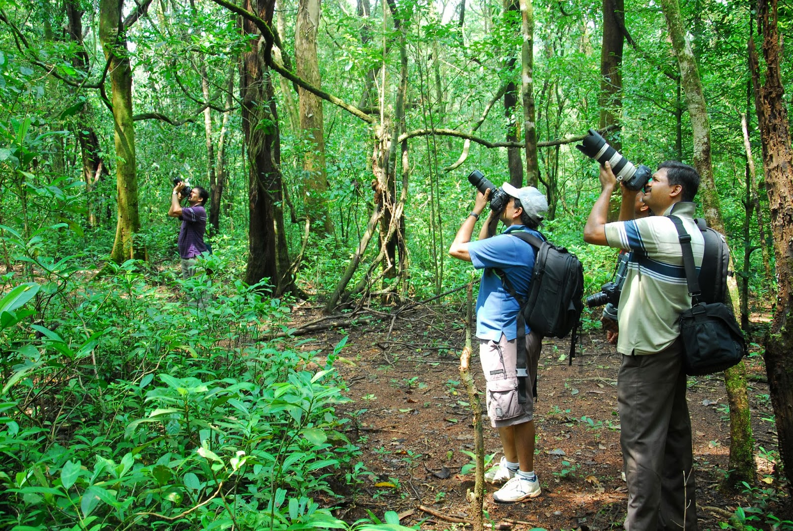 VISWANATH S: SEETHANADI-HEBRI-2013