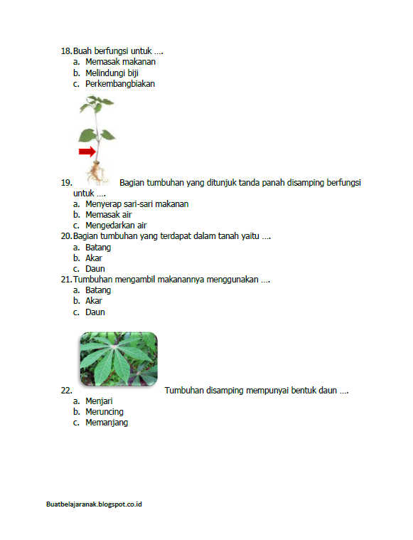 Contoh Latihan Soal IPA Kelas 2 SD Bab Mengenal Bagian-Bagian Tubuh