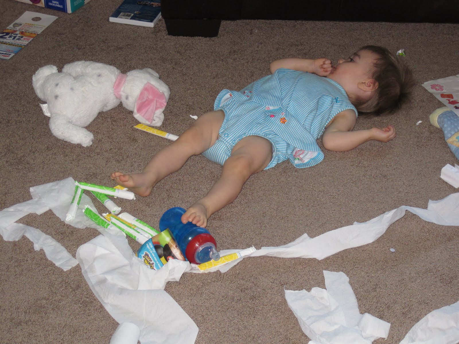 You Don't Have to Can to Get to Heaven Toilet Paper and Tampons