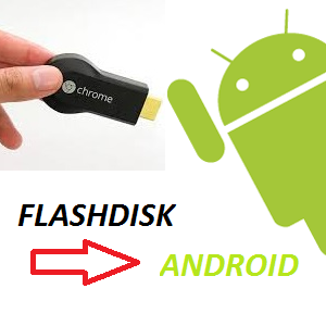 Cara Sambungkan Flashdisk Dengan Smartphone Android