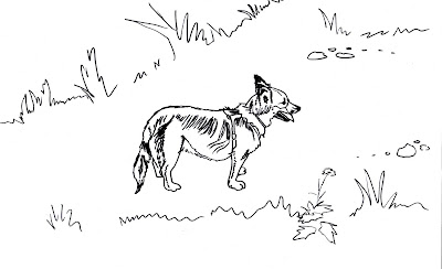 Ser ahorrativo: Dibujos gratis para colorear de animales