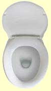 Western toilet with lid up