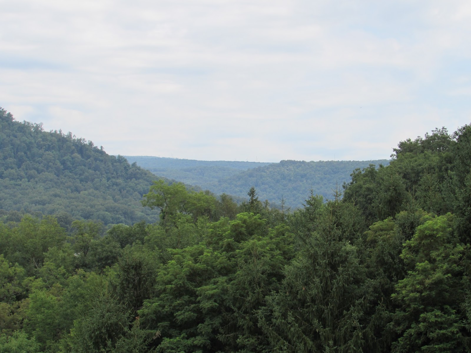 Ohiopyle and Youghiogheny River Lake Recreation Area Interesting
