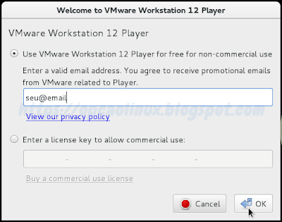 Insira seu e-mail ou o serial (caso tenha comprado) para usar o VMware Player