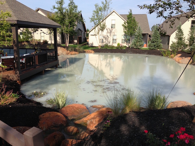 koi-pond-builders-greenville-sc-1.jpg
