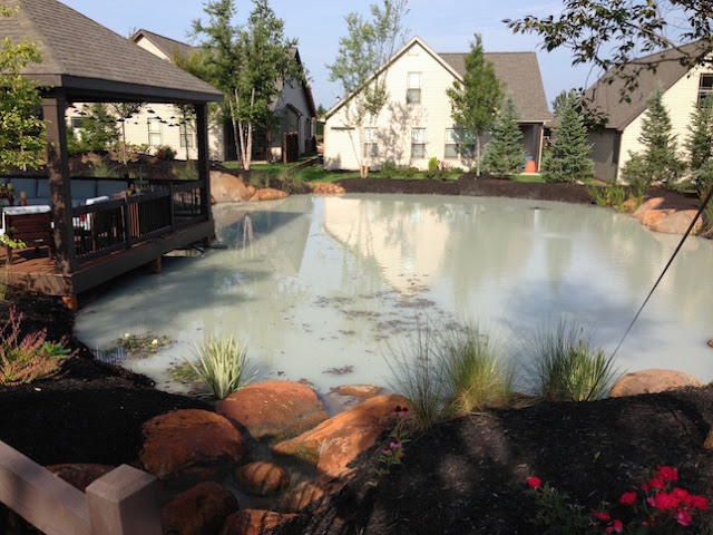 bentonite-koi-pond-9.jpg