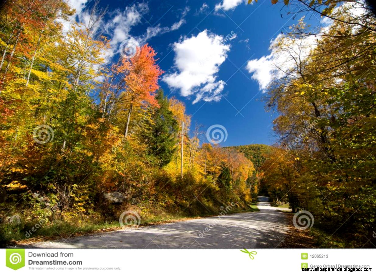 Colorful Dirt Road Wallpaper
