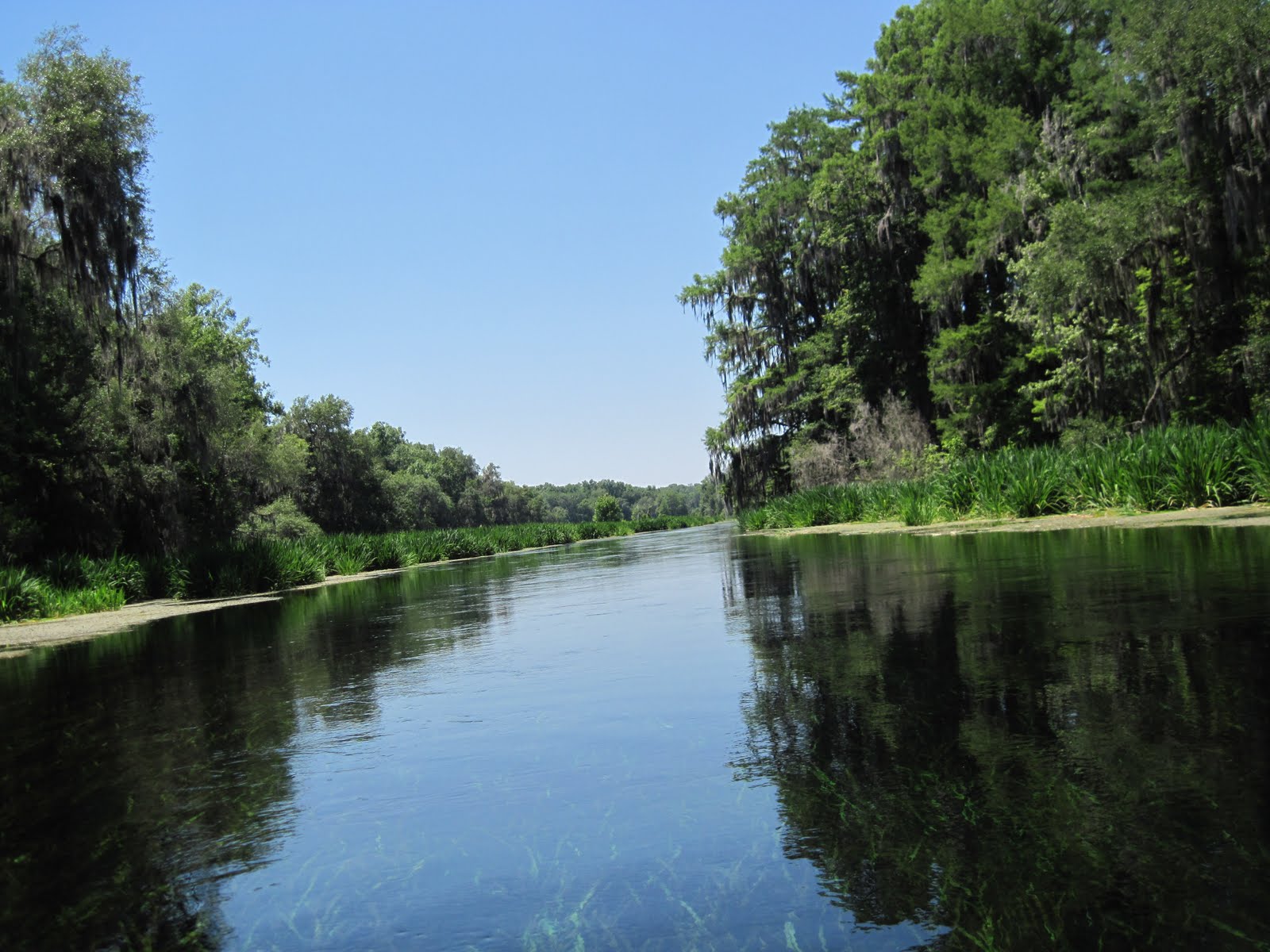 Til the Last Hemlock Dies: Down the Amazing Ichetucknee River