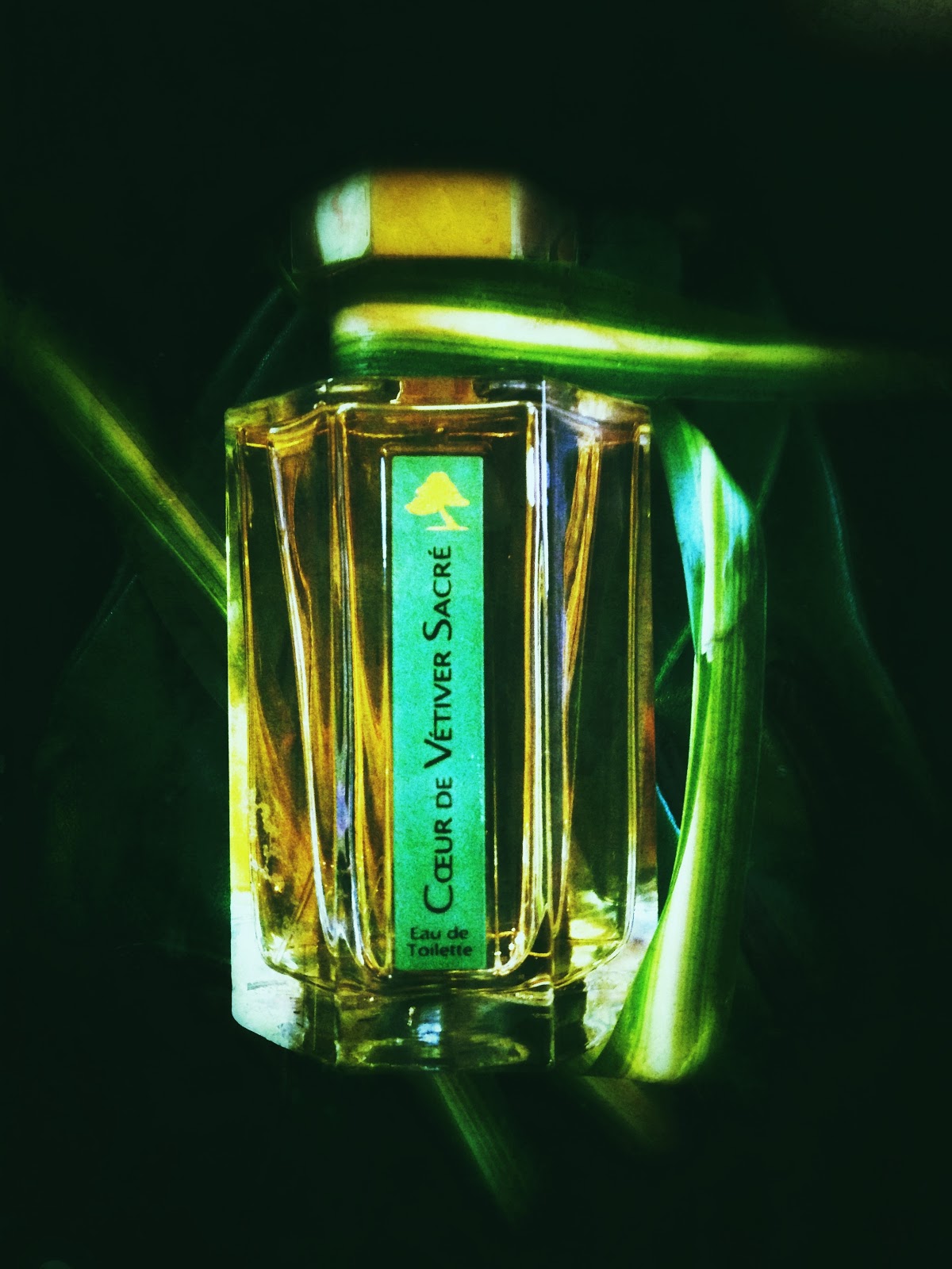 The Silver Fox: If a Sacred Vetiver Falls in a Forest and No One is Around  to Hear it, Does it make a Sound? – The Death of 'Cœur de Vétiver Sacré'