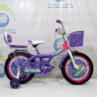 16 Sepeda Anak Golden Caramel CTB Purple