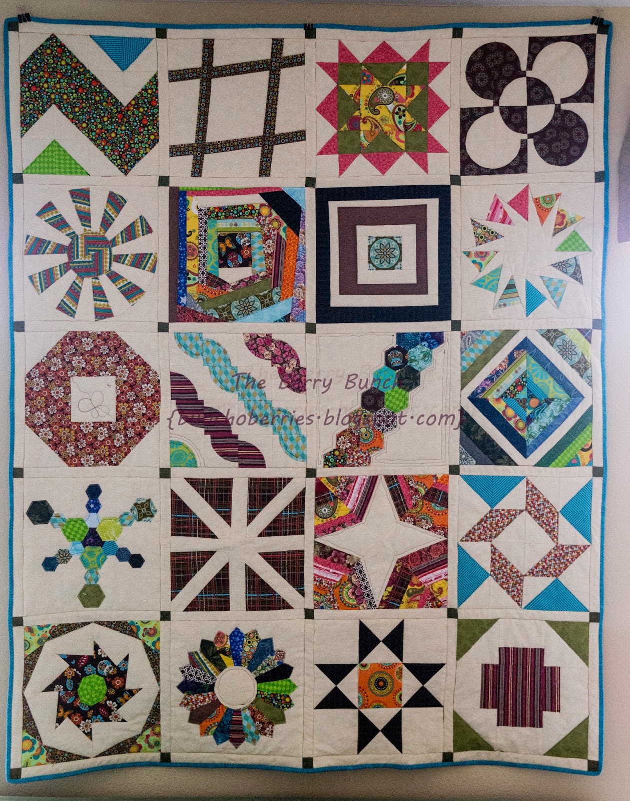 The Berry Bunch: 2012 Craftsy Block of the Month - Finished {2014 Sew-A-Long}