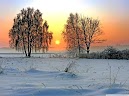 Winter Sunrise Wallpaper