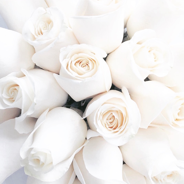 Top 134 Good Morning Wishes With Rose Best Hd Images