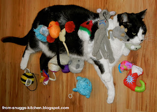 Katze mit Spielzeug