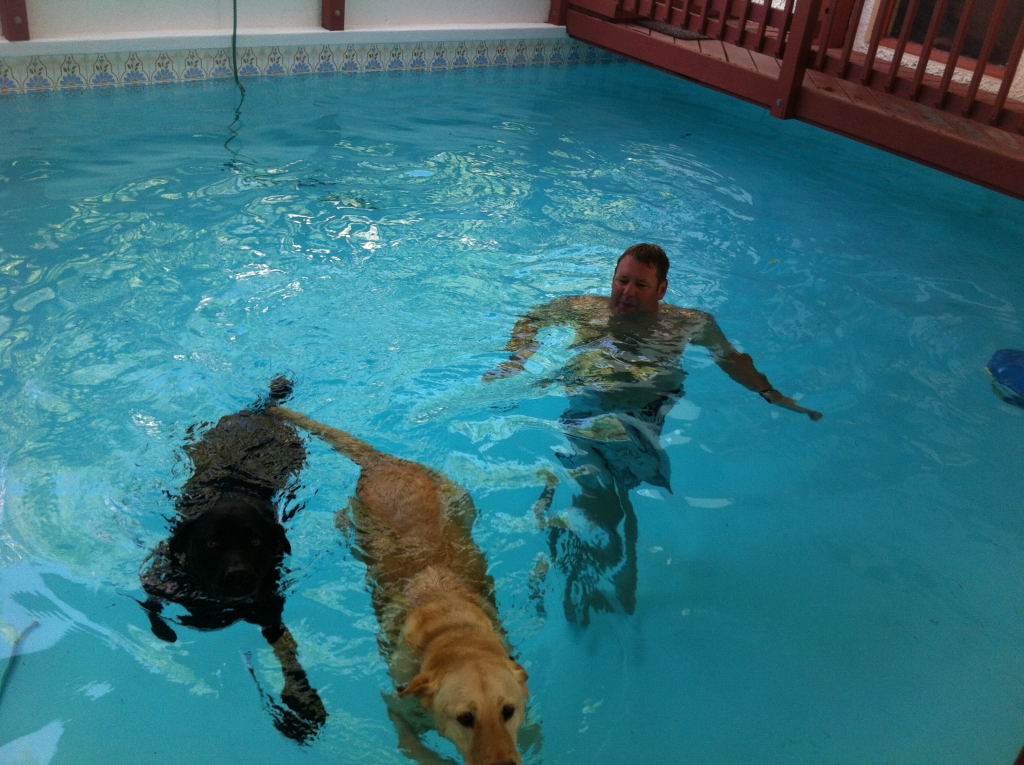 Life In the Virgin Islands Life on the Rock! Boating With Dogs in