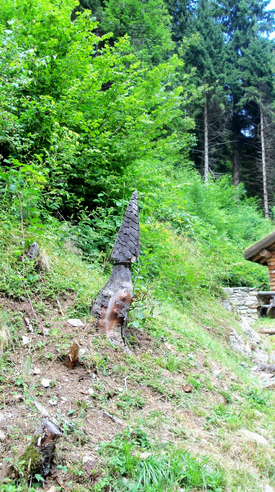 il pellerossa di zandobbio MOTO. Le sculture della Val Paisco.