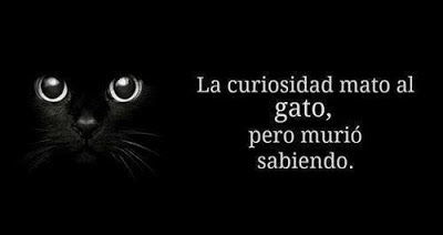 la curiosidad mato al gato