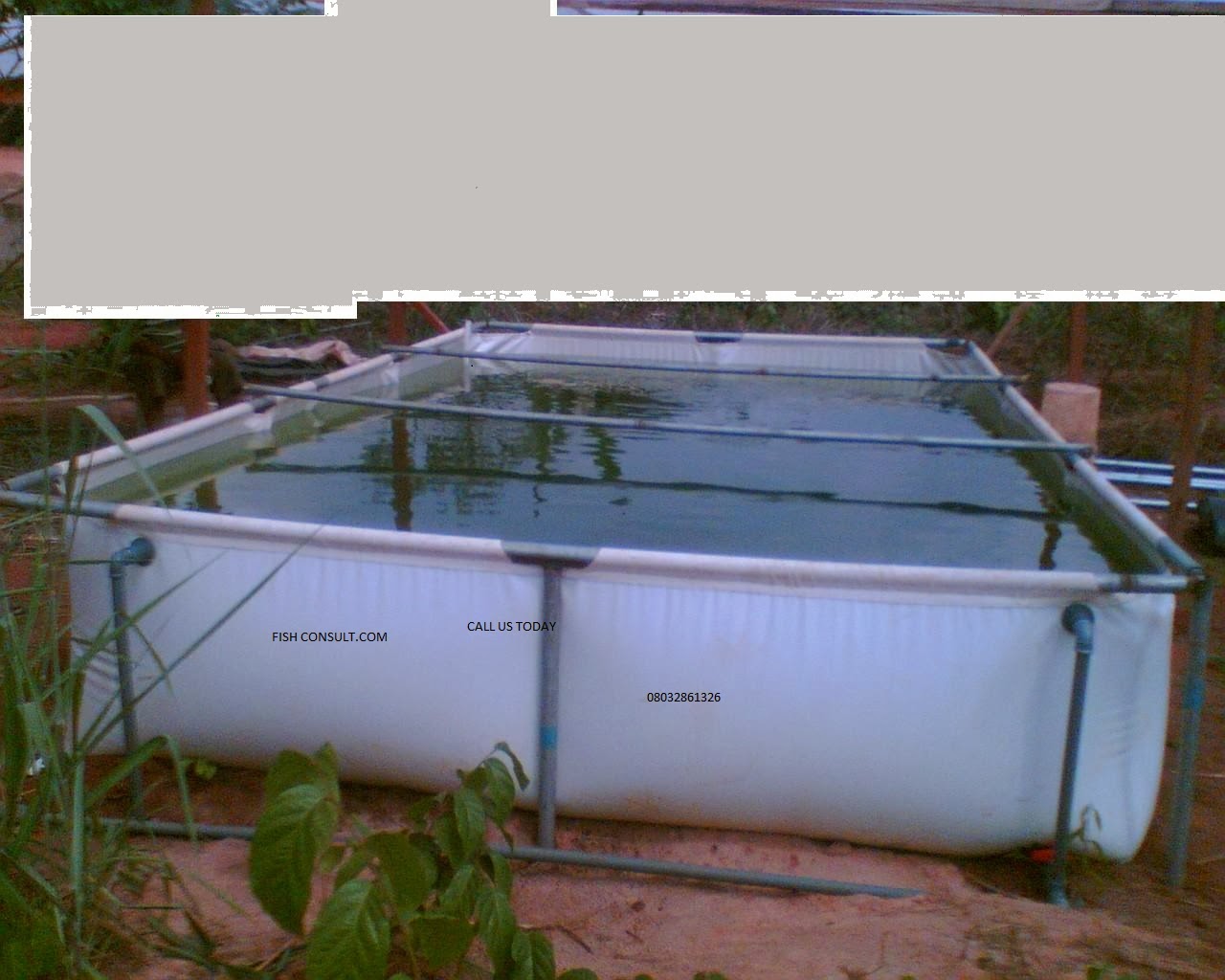 FISH FARMING IN NIGERIA KINGSWAY AGRO SERVICES