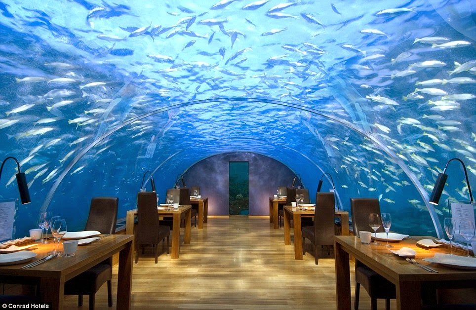 It was rated “the most beautiful restaurant in the world” by the New York Daily News in 2014. - The “Most Beautiful Restaurant In The World” Is Downright Mind-Blowing. It was rated “the most beautiful restaurant in the world” by the New York Daily News in 2014. - The “Most Beautiful Restaurant In The World” Is Downright Mind-Blowing.