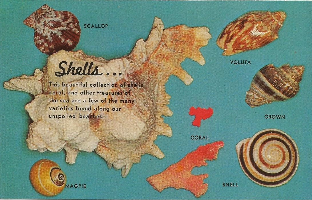 Vintage Travel Postcards