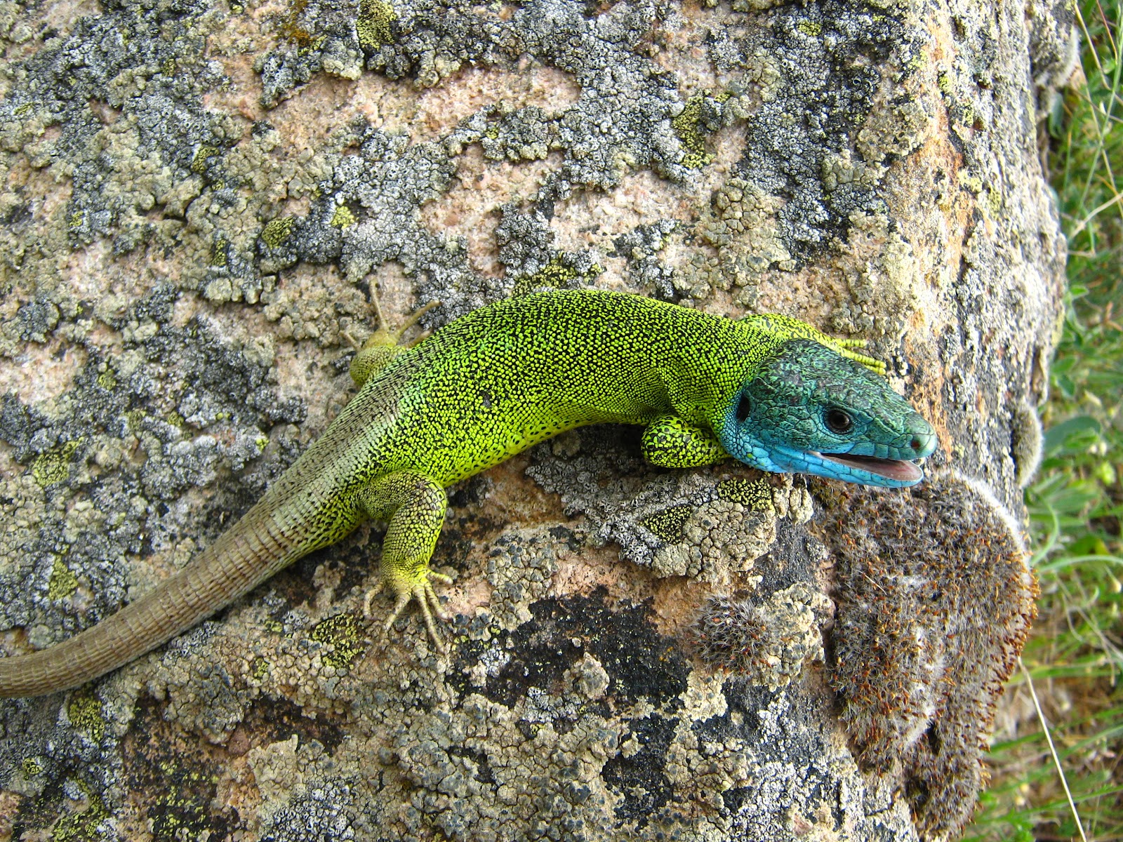 El Artesano Numantino 3 