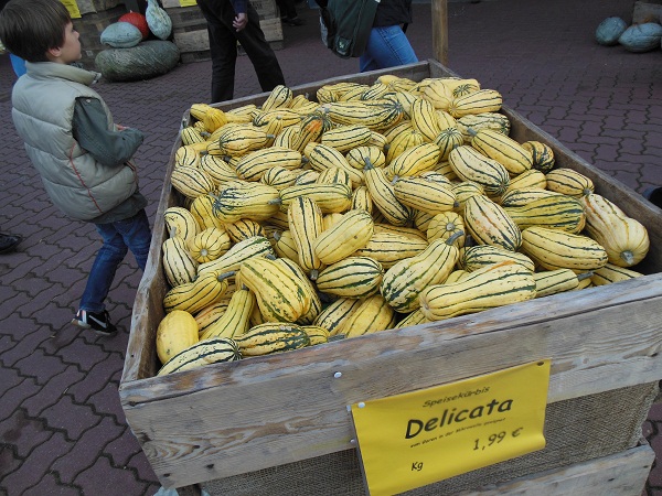 Petra´s Bastelideen: Oktober 2012