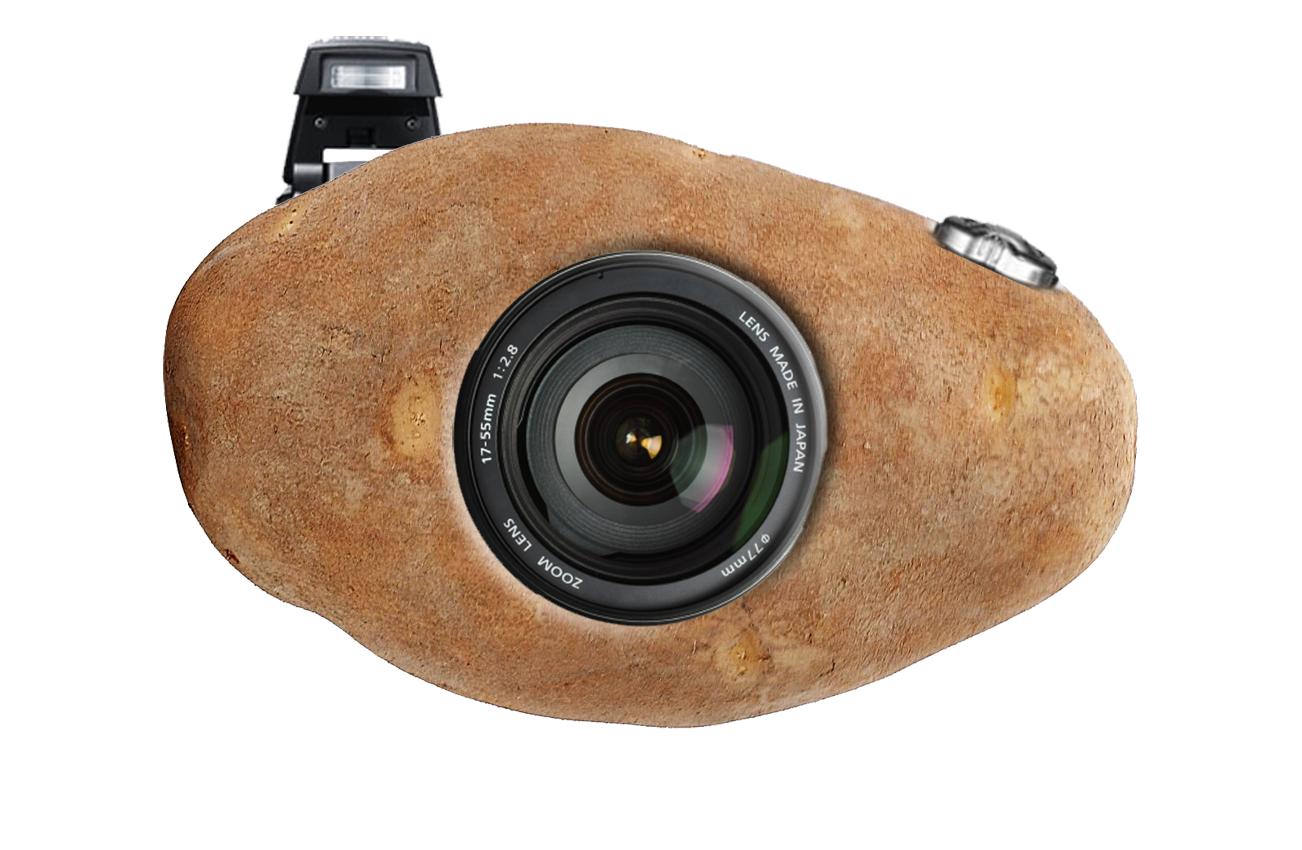 Potato Quality の意味・用法・例文英語ネットスラング辞典