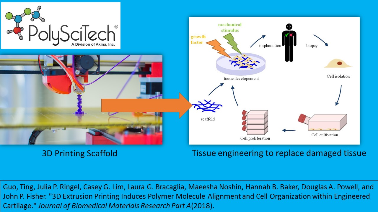 hepatocyte tissue engineering scaffold electrospinning hepatocyte tissue engineering scaffold electrospinning