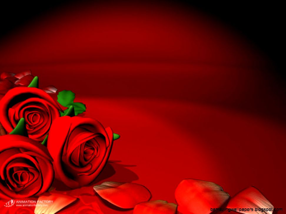 Red Flower Wallpaper Background | Amazing Wallpapers