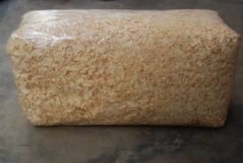 Hamster Campbell: perlengkapan dalam memelihara hamster