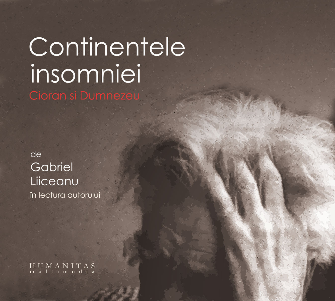 Liiceanu si cioran essay