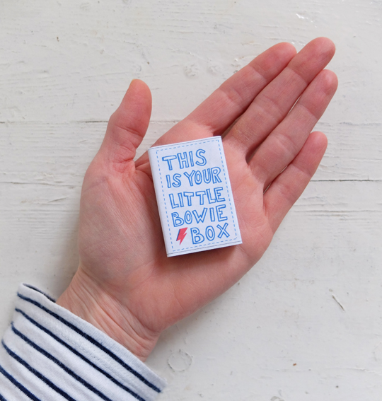 De Wereld van Fien 3D Mini Bowie Box