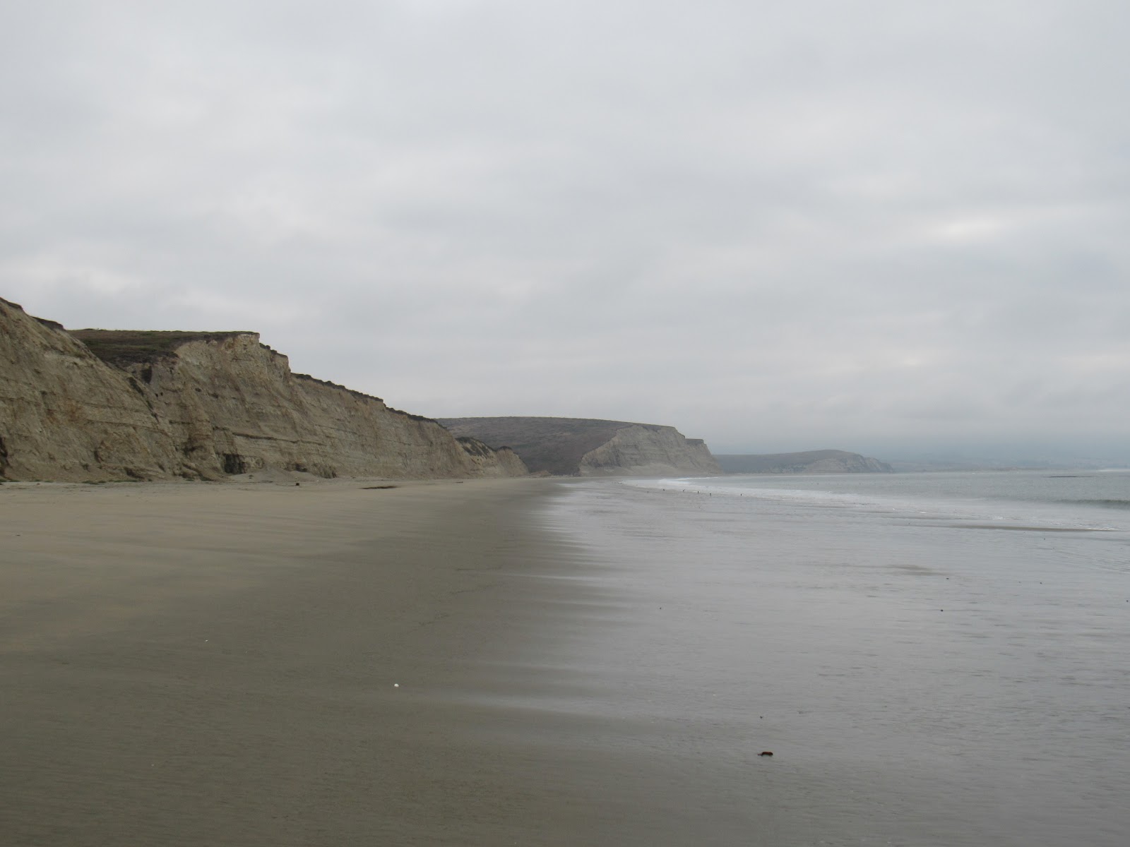 Wings and Daydreams Drakes Beach Part Two