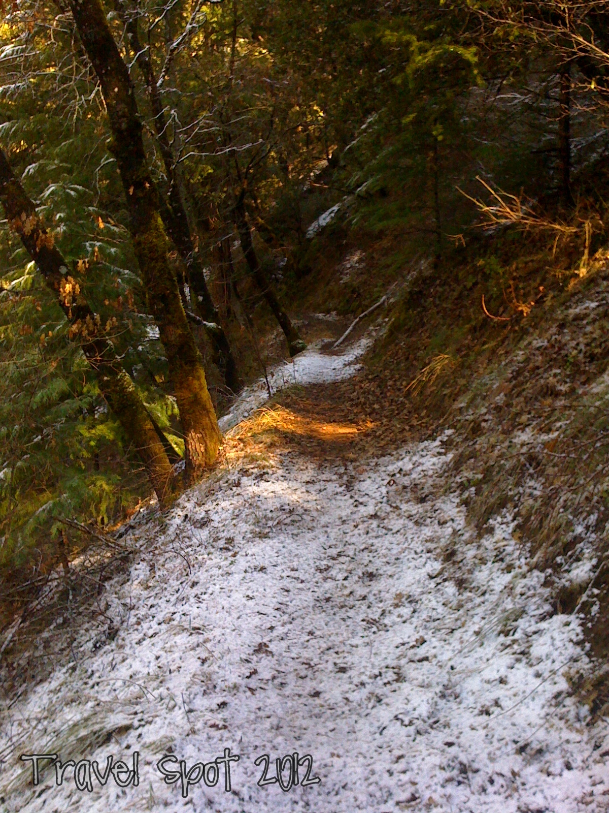 travel spot Shoes and Taxes