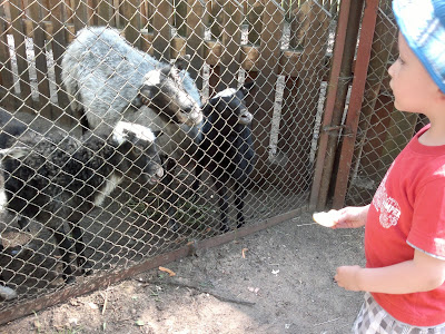 03062013704.jpg