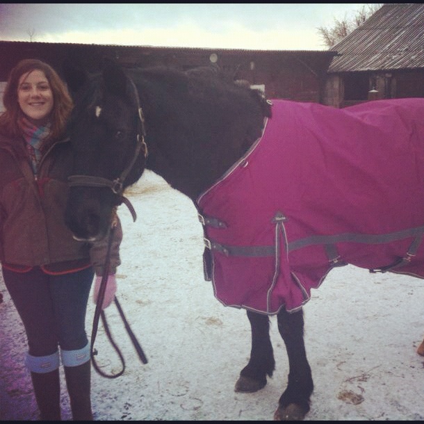 The Horse Talker How Horses Keep Warm