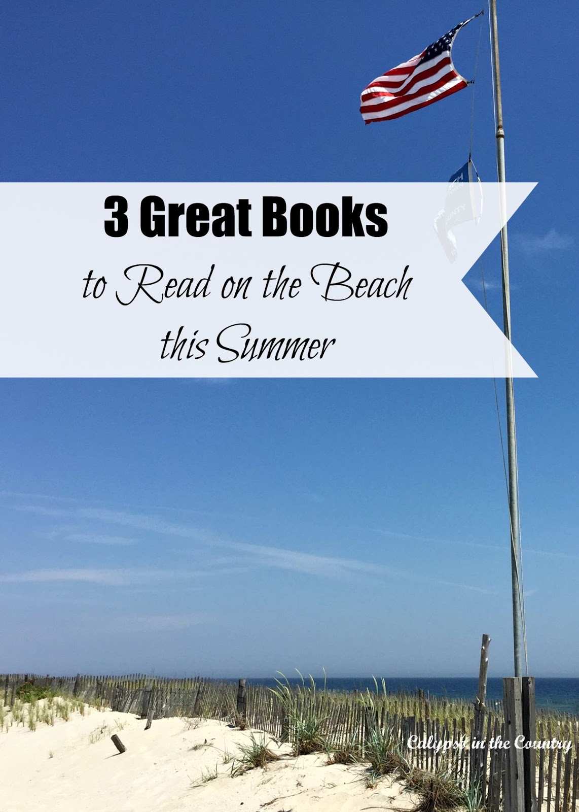 Three Great Books to Read this Summer 