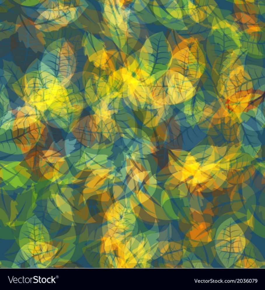 Abstract colorful Leaves Nature Background Vector Image