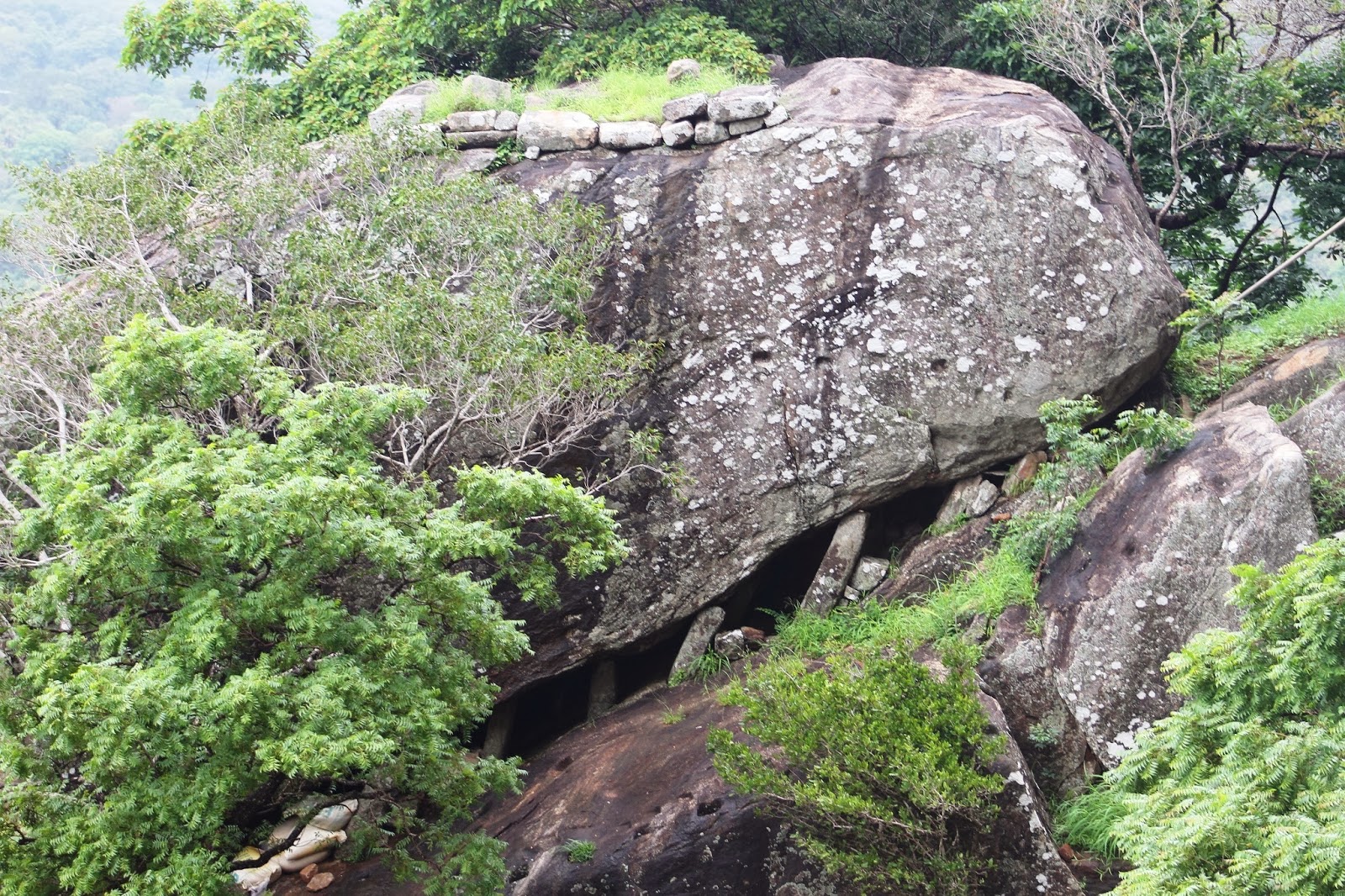 Звездные врата шри ланка