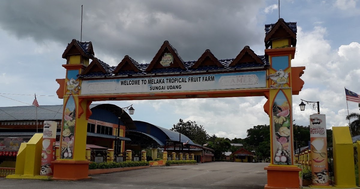 Mohd Faiz bin Abdul Manan: Melaka Tropical Fruit Farm