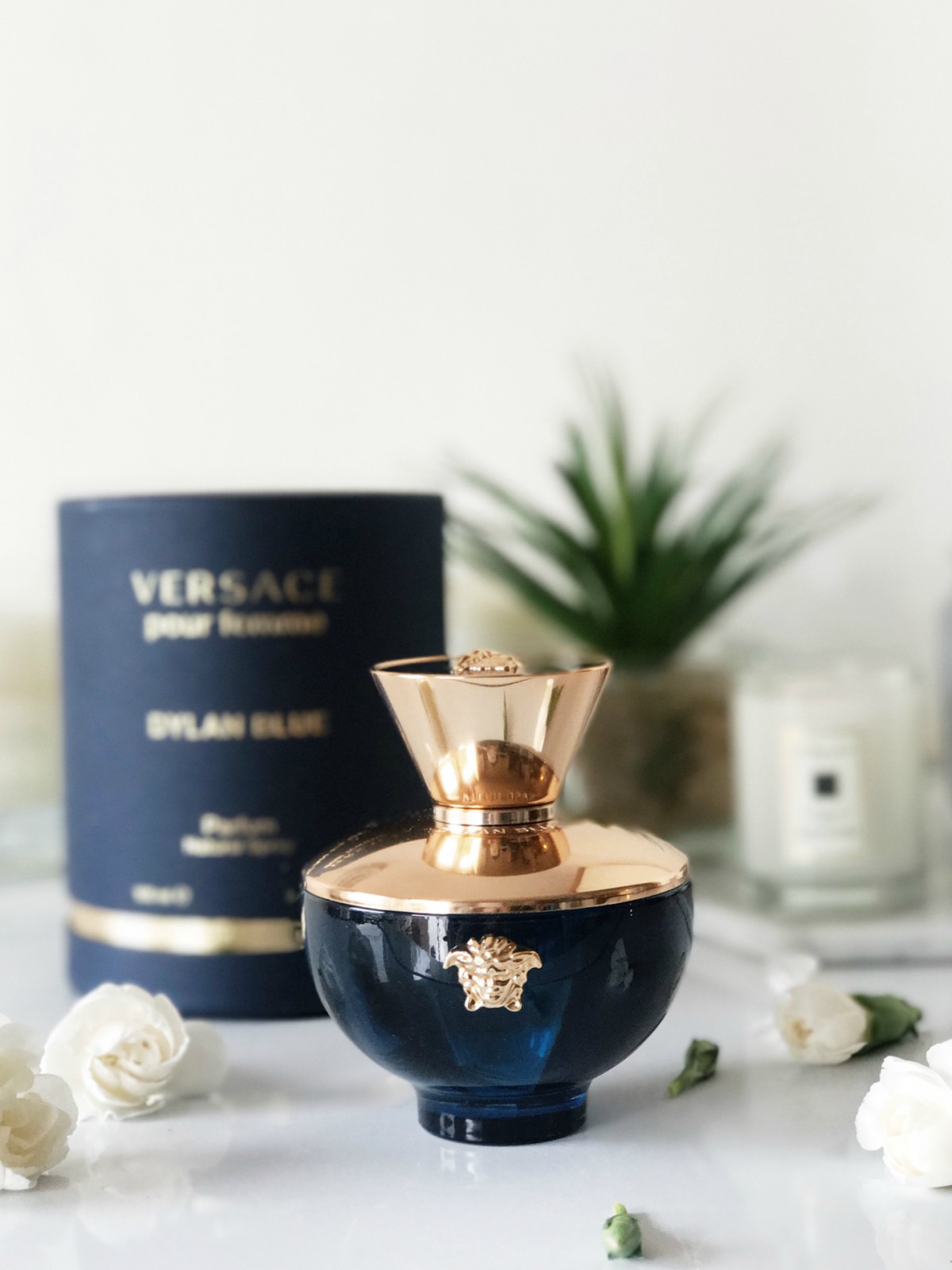 Versace Dylan Blue Fragrance Review